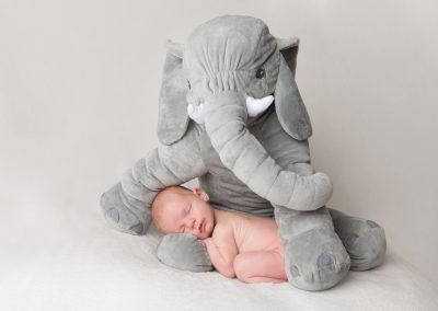 Baby boy with soft toy elephant on white background at home in Northampton