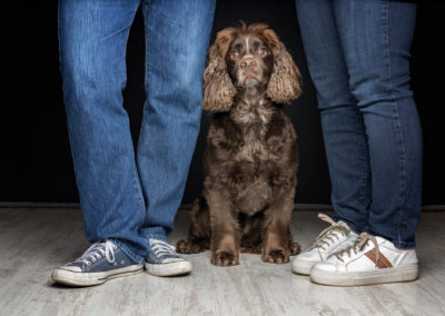 Dog photography in your own home