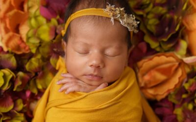 Why Book a Newborn Portrait Session