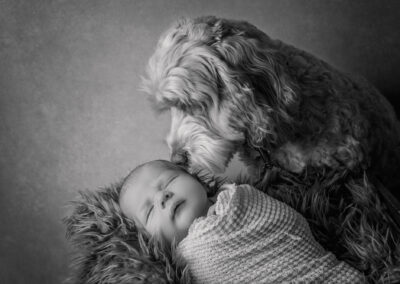 newborn photography with baby and dog
